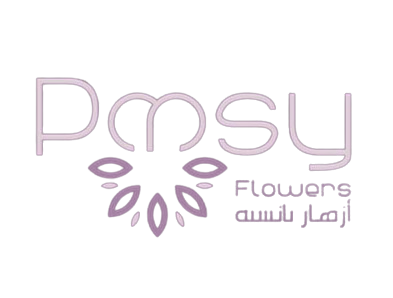 The list thelist theli5t the li5t|ذالست ذا لست